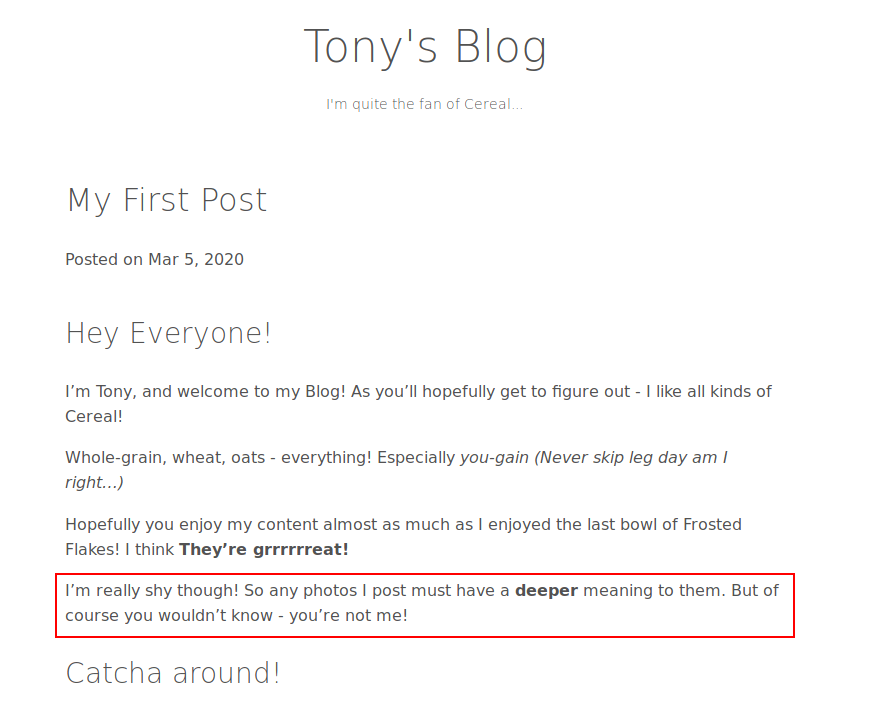 tony&rsquo;s blog2
