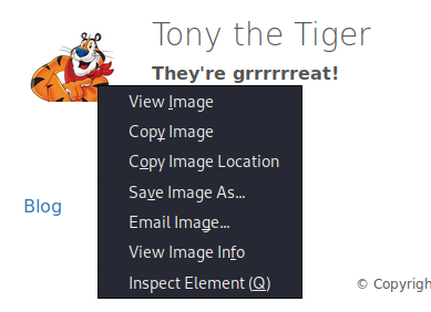 downloading some of tony&rsquo;s images